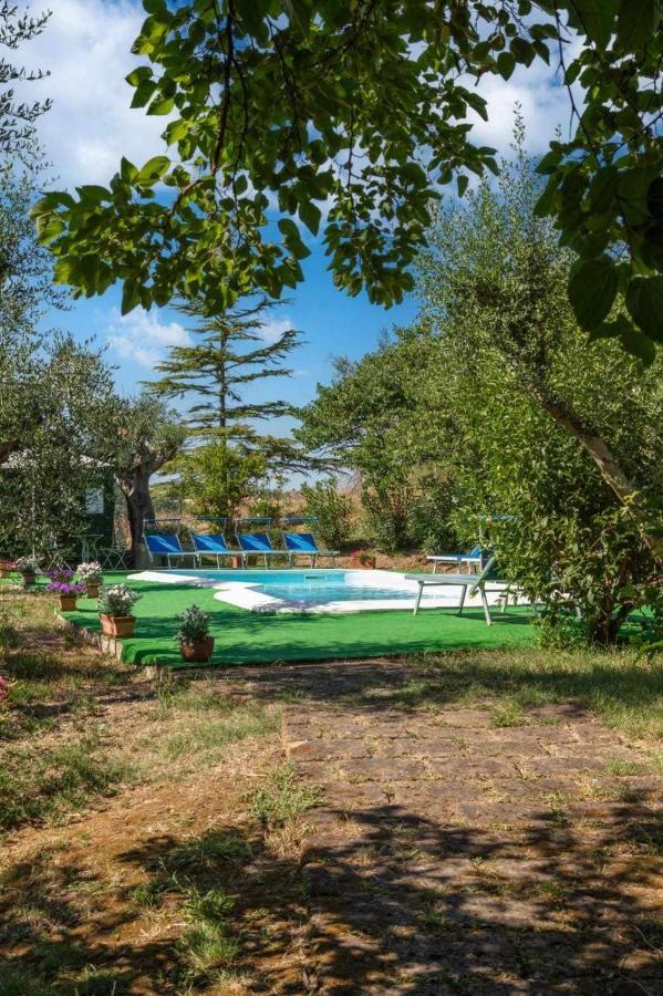 La Meriggia Agriturismo- Ampio Appartamento Con Terrazza Esclusiva Ancona Exterior photo